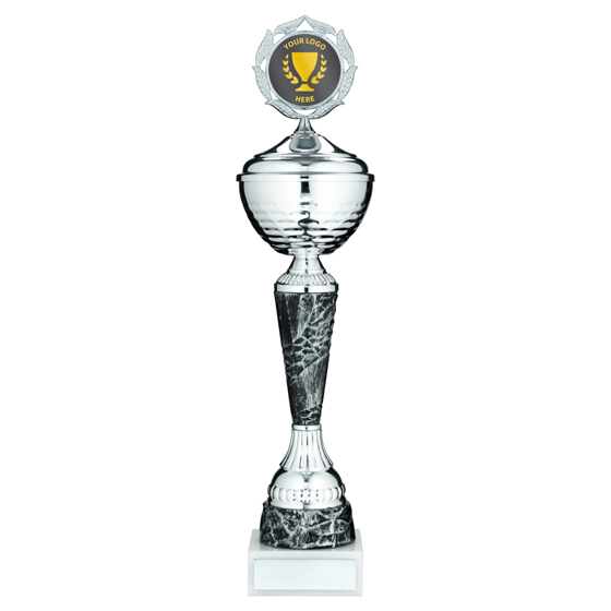 Picture of Silv/pewter Trophy Cup With Lid With Plate (2in Centre) - 18in