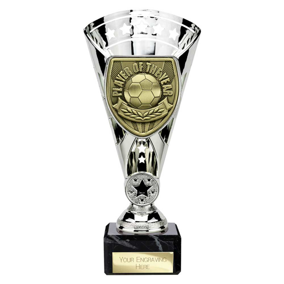 Picture of Cobra Star Cup Player of Year Silver 210mm