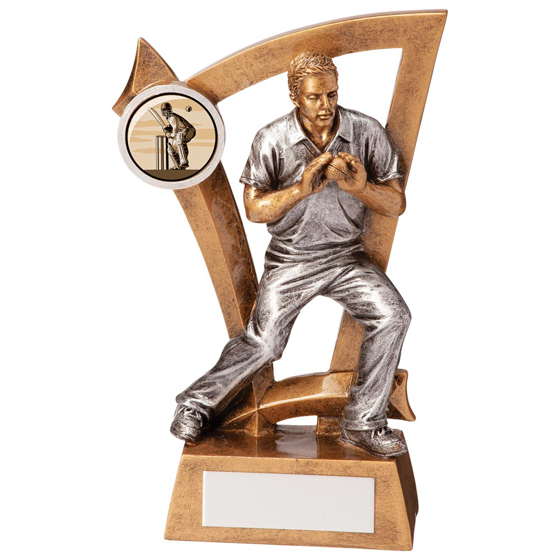 Picture of Predator Cricket Fielder Award 150mm