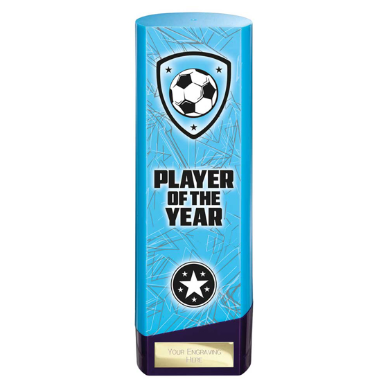 Picture of Prime Heavyweight Player of Year Blue & Purple 220mm