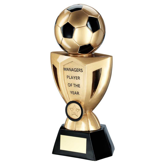 Picture of Gold/black Football On Cup With Plate (1in Centre) Managers Player - 10in